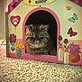 cat, cardboard_house, flower_shop, butterflies, carpet, pet, indoor, animal, cute, feline, tabby_cat, playhouse, decorated, potted_plants, whiskers, face, window, pink, yellow, green