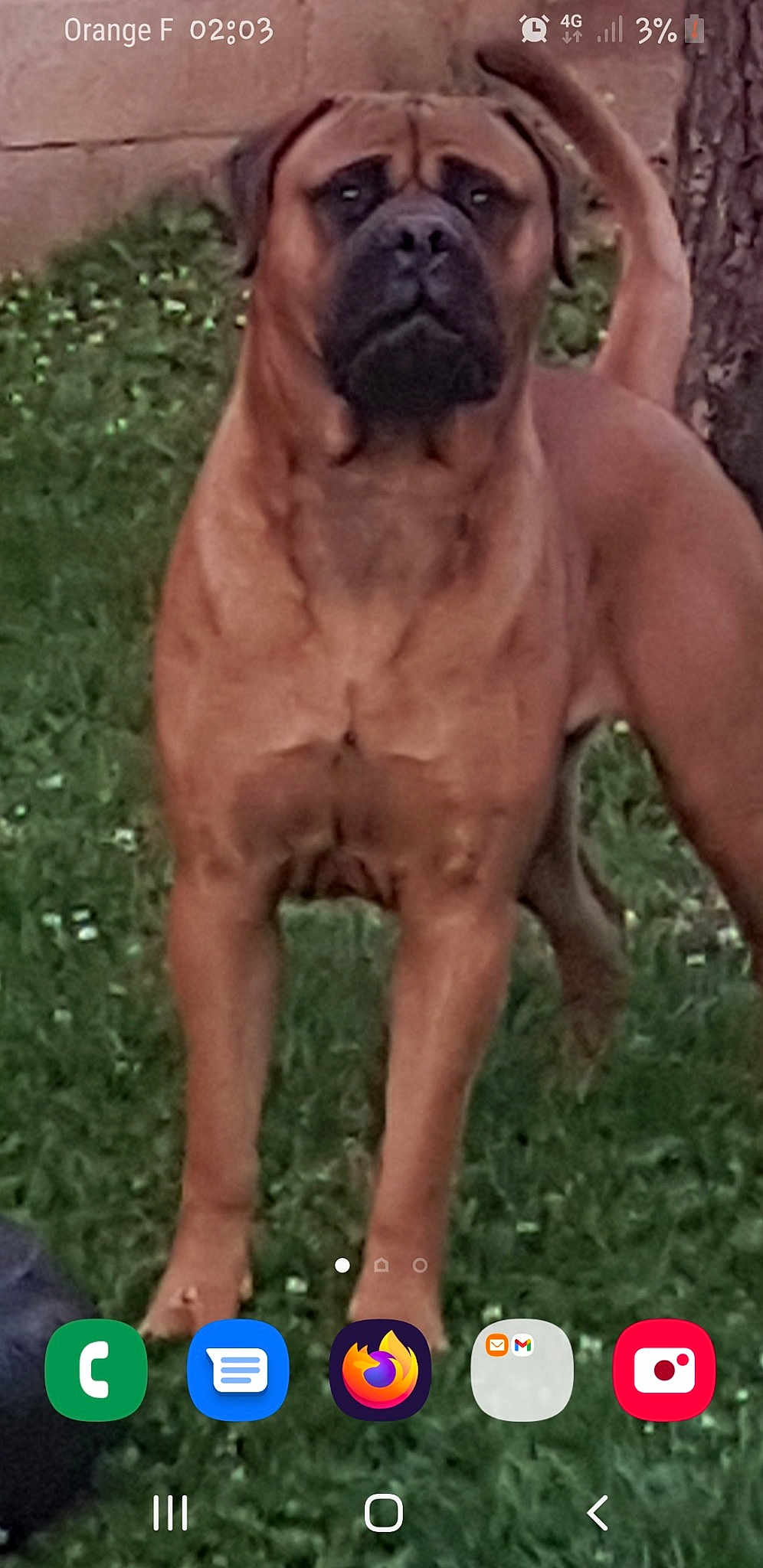 Kyser