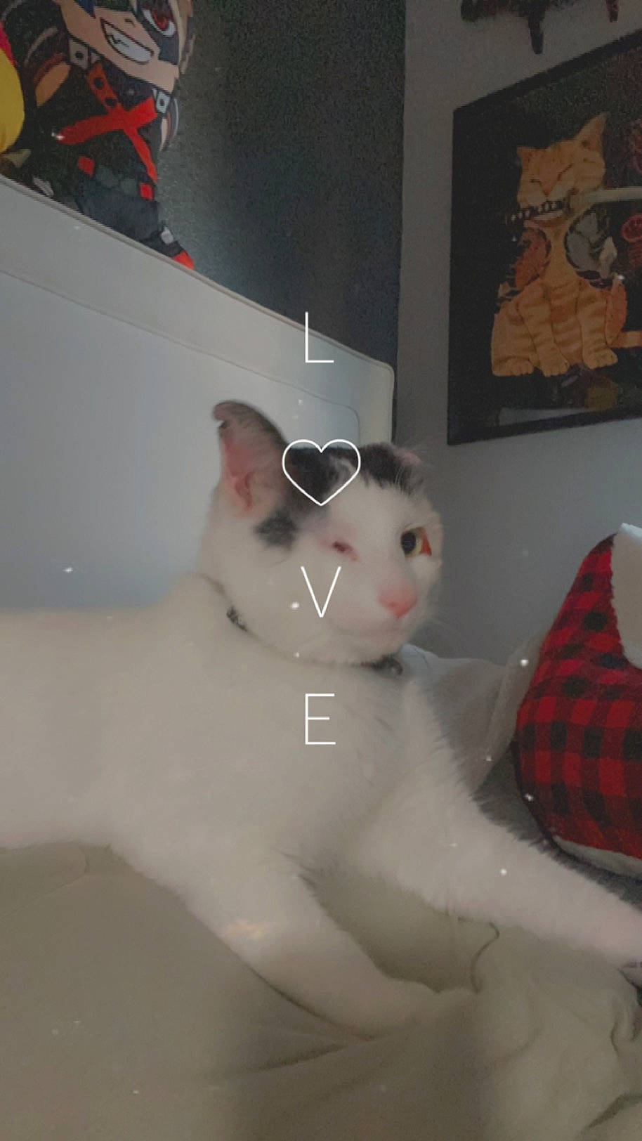 Willy joined the competition — help win amazing prizes! abdomen, art, carnivore, cat, chest, domestic_short_haired_cat, fawn, felidae, fur, pattern, picture_frame, plaid, room, small_to_medium_sized_cats, snout, tail, tartan, trunk, whiskers, white