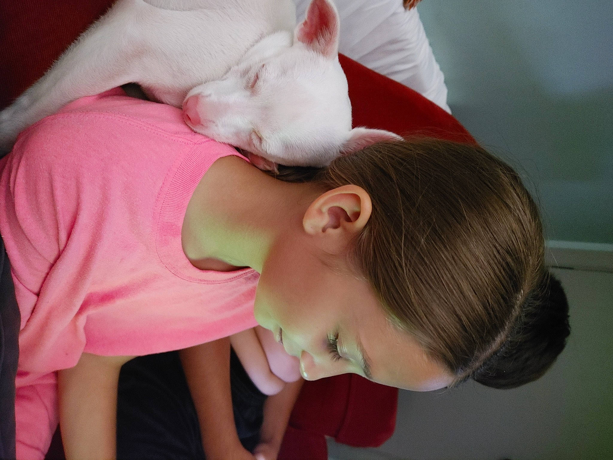 Little Dude is registered to the contest to win money with this photo: black_hair, child, comfort, companion_dog, ear, elbow, eyelash, fashion_accessory, happy, human_leg, leisure, lip, long_hair, mouth, neck, nose, pink, skin, t_shirt, toddler