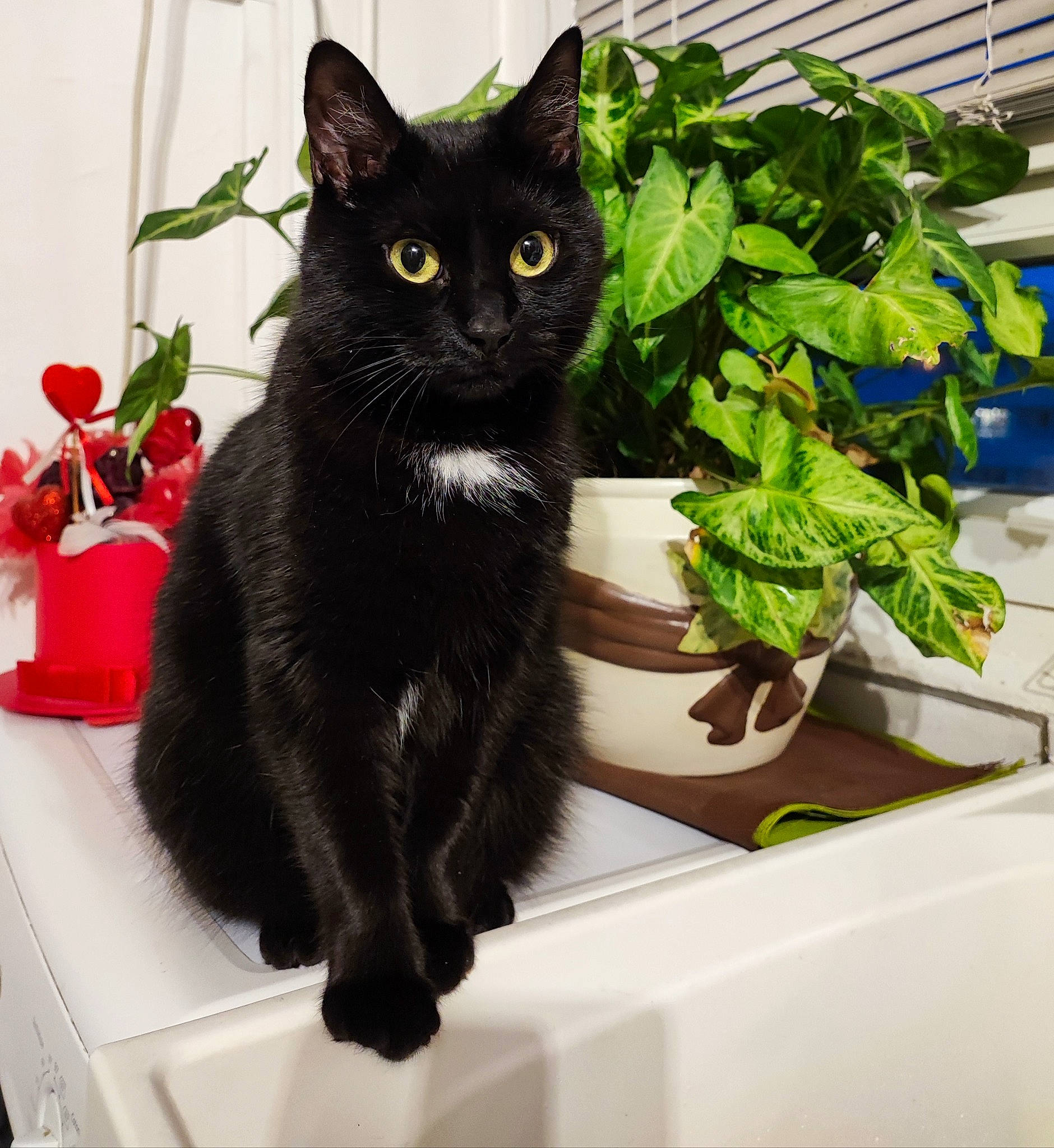 Luna