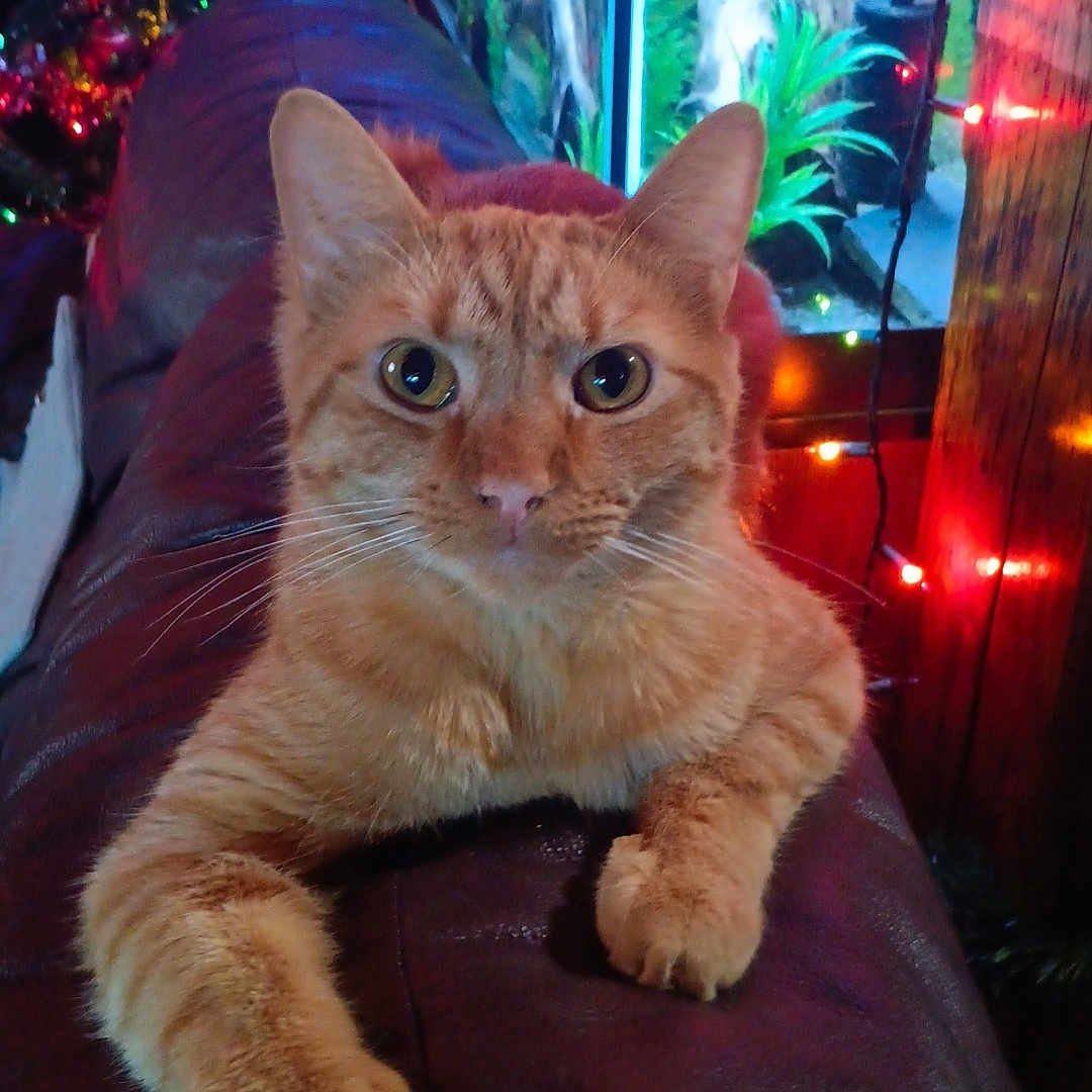 George