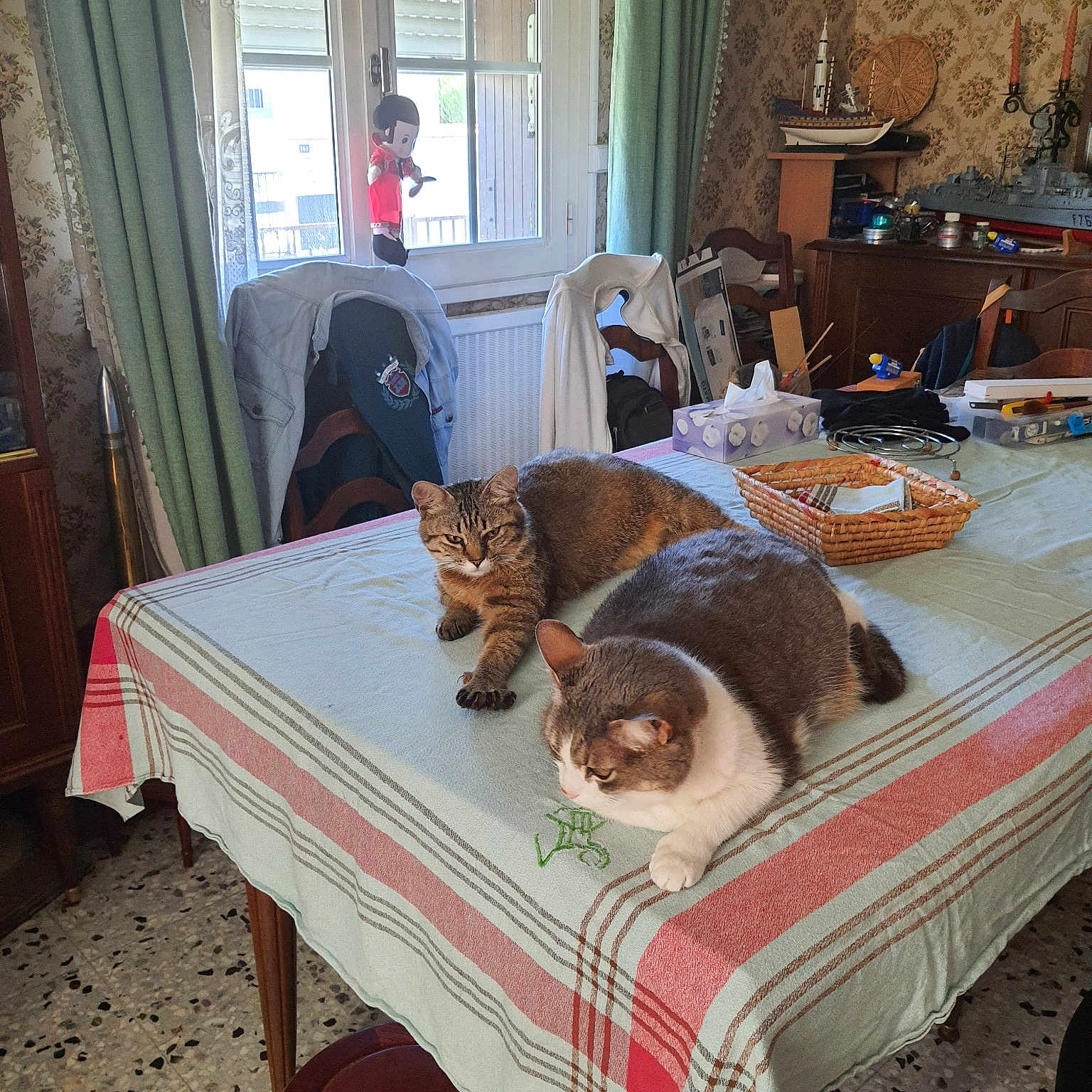 Miou Et Marie