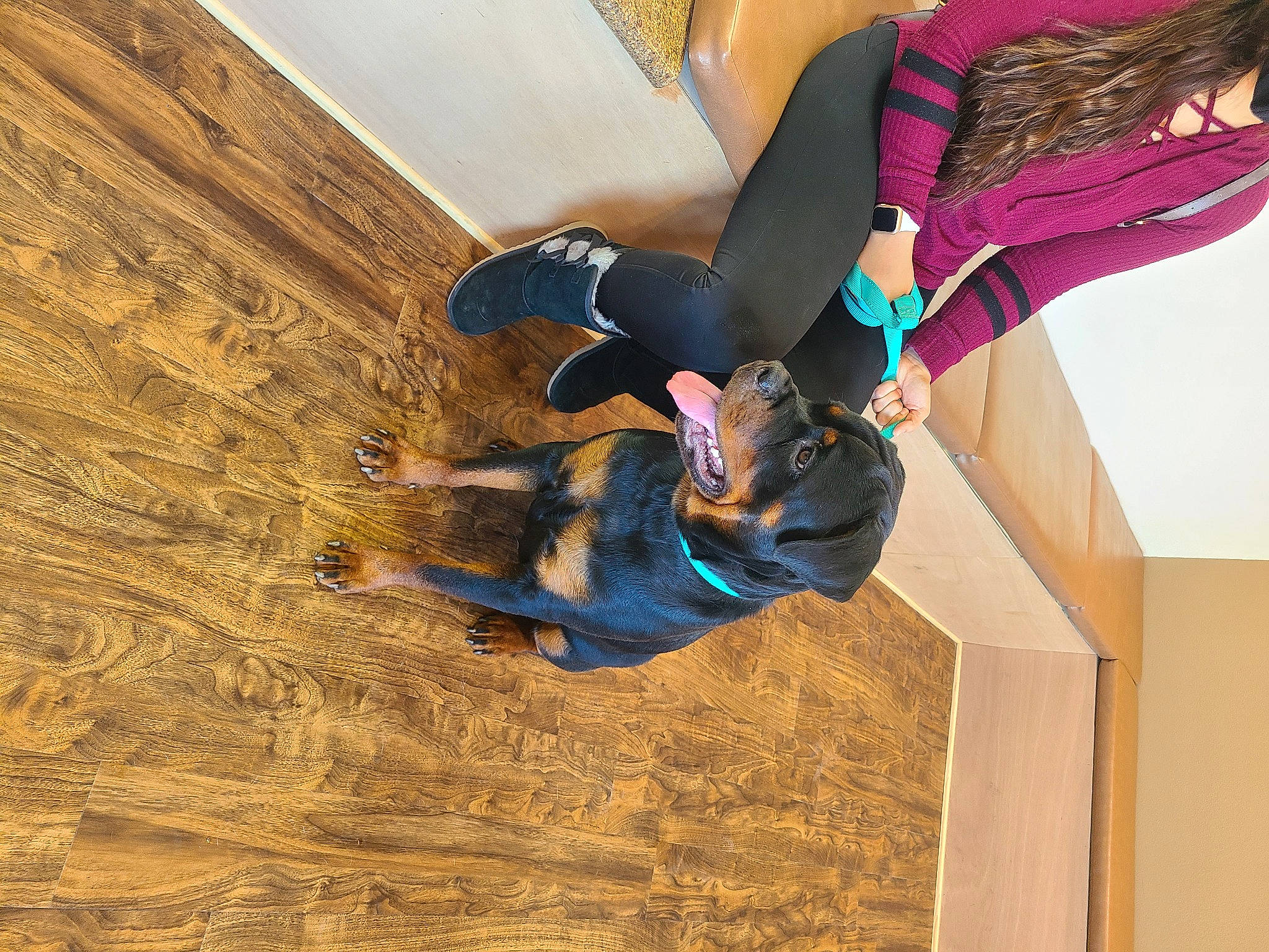 Echo is registered to the contest to win money with this photo: adventure, costume, electric_blue, fashion_design, fictional_character, flooring, fun, happy, hardwood, human_leg, landscape, leisure, magenta, pattern, recreation, room, thigh, wood, wood_flooring, wood_stain