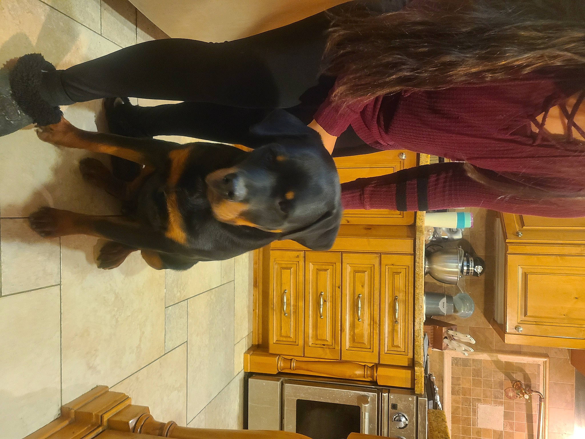 Zeus is registered to the contest to win money with this photo: cabinetry, cupboard, dog, dog_breed, dress, flooring, fun, fur, gesture, guard_dog, hat, room, sculpture, snapshot, sporting_group, tail, tree, wood