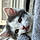 Smudge