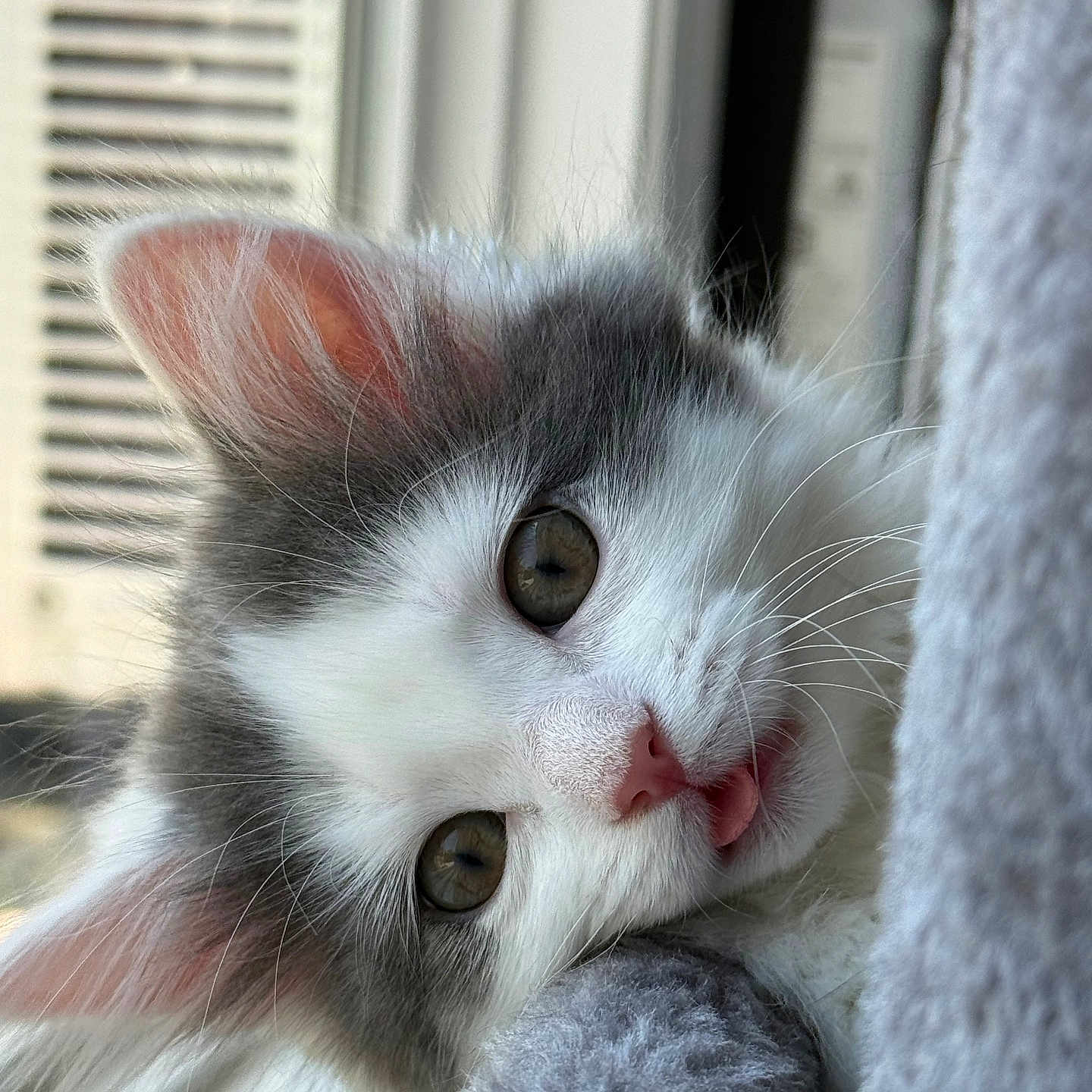 Smudge