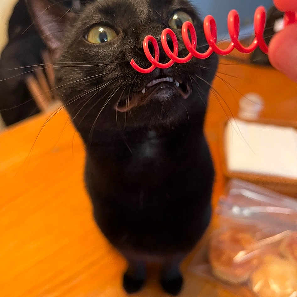 Binx