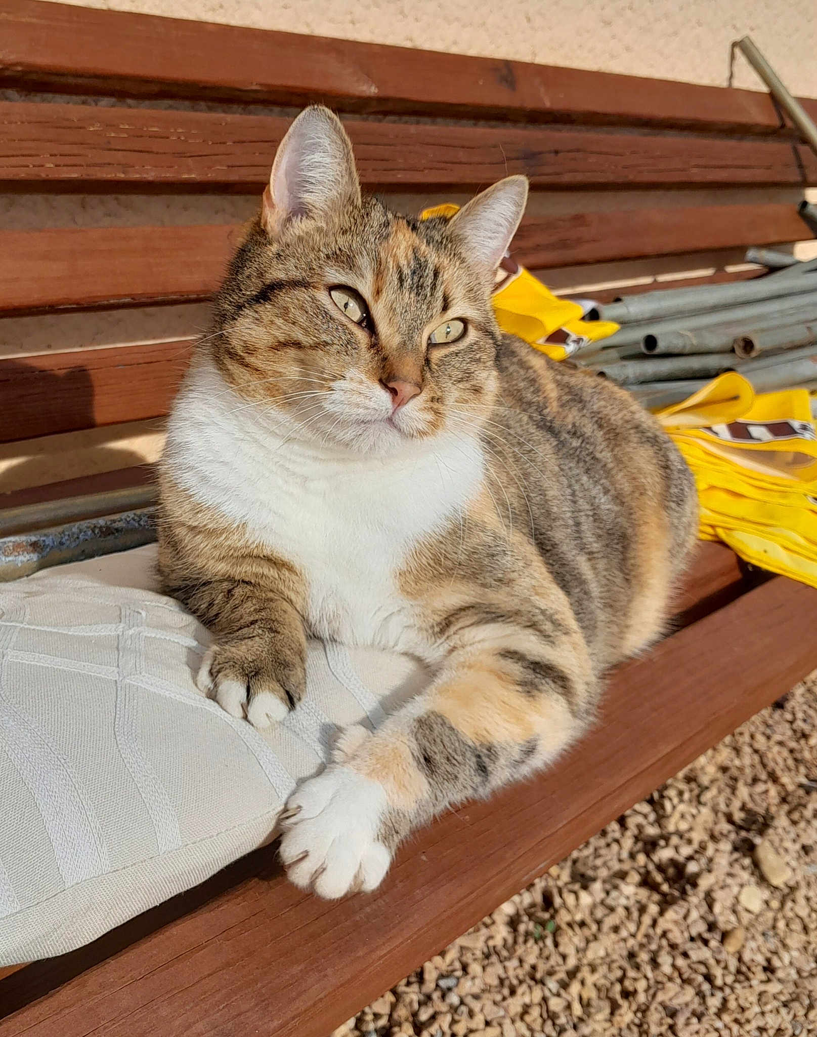 Mika