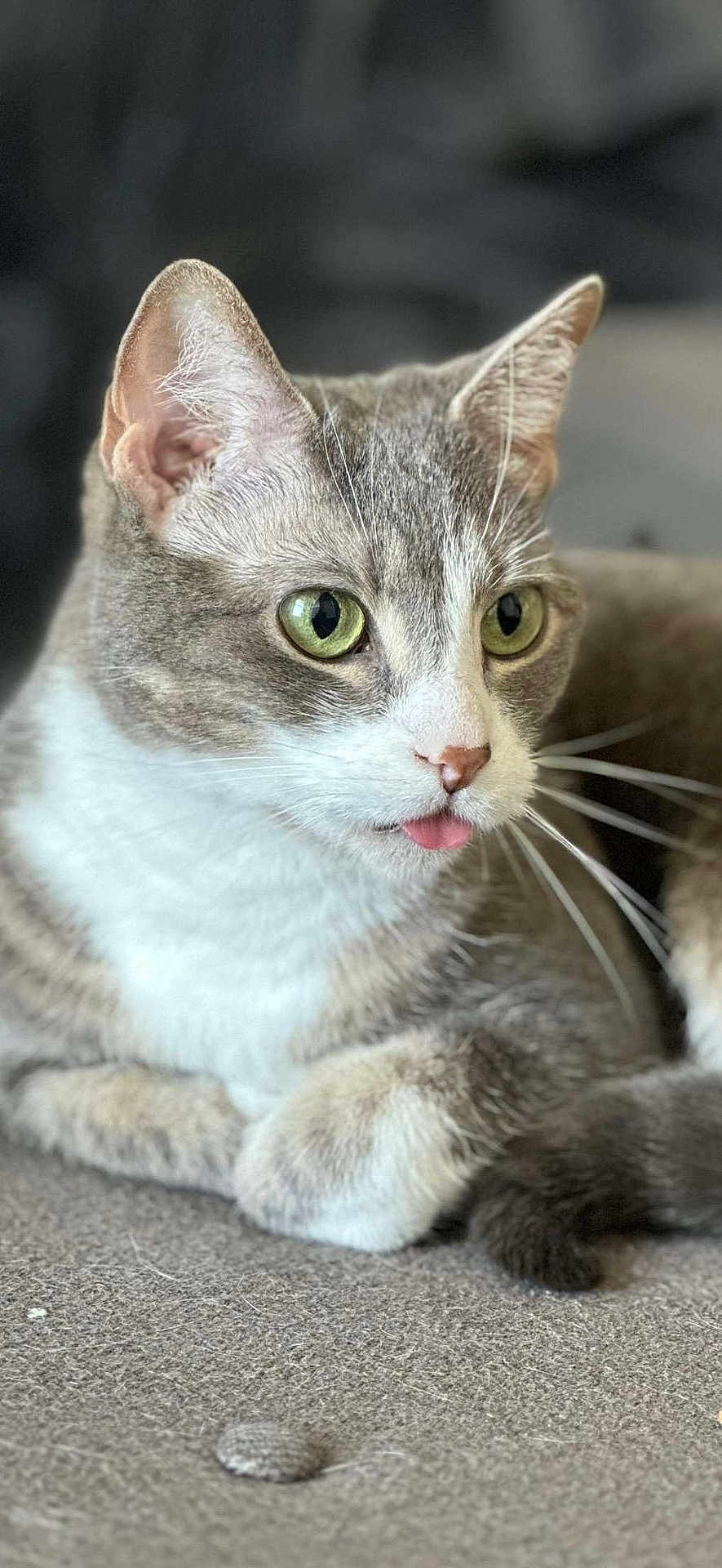 Chloe