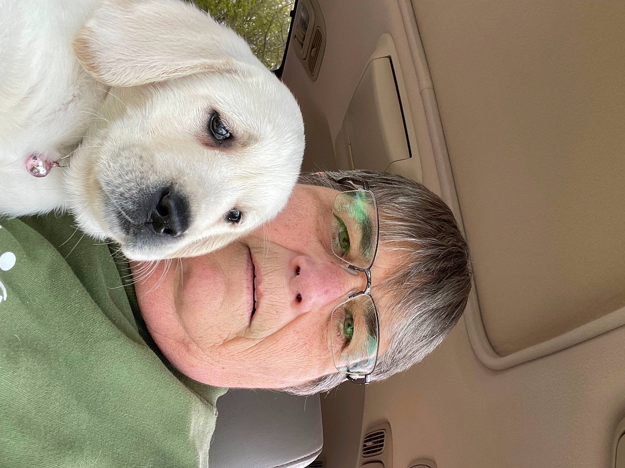 Molly is registered to the contest to win money with this photo: canidae, carnivore, comfort, companion_dog, dog, dog_breed, ear, fawn, fur, happy, jaw, livestock_guardian_dog, non_sporting_group, nose, selfie, snout, sporting_group, whiskers, working_animal