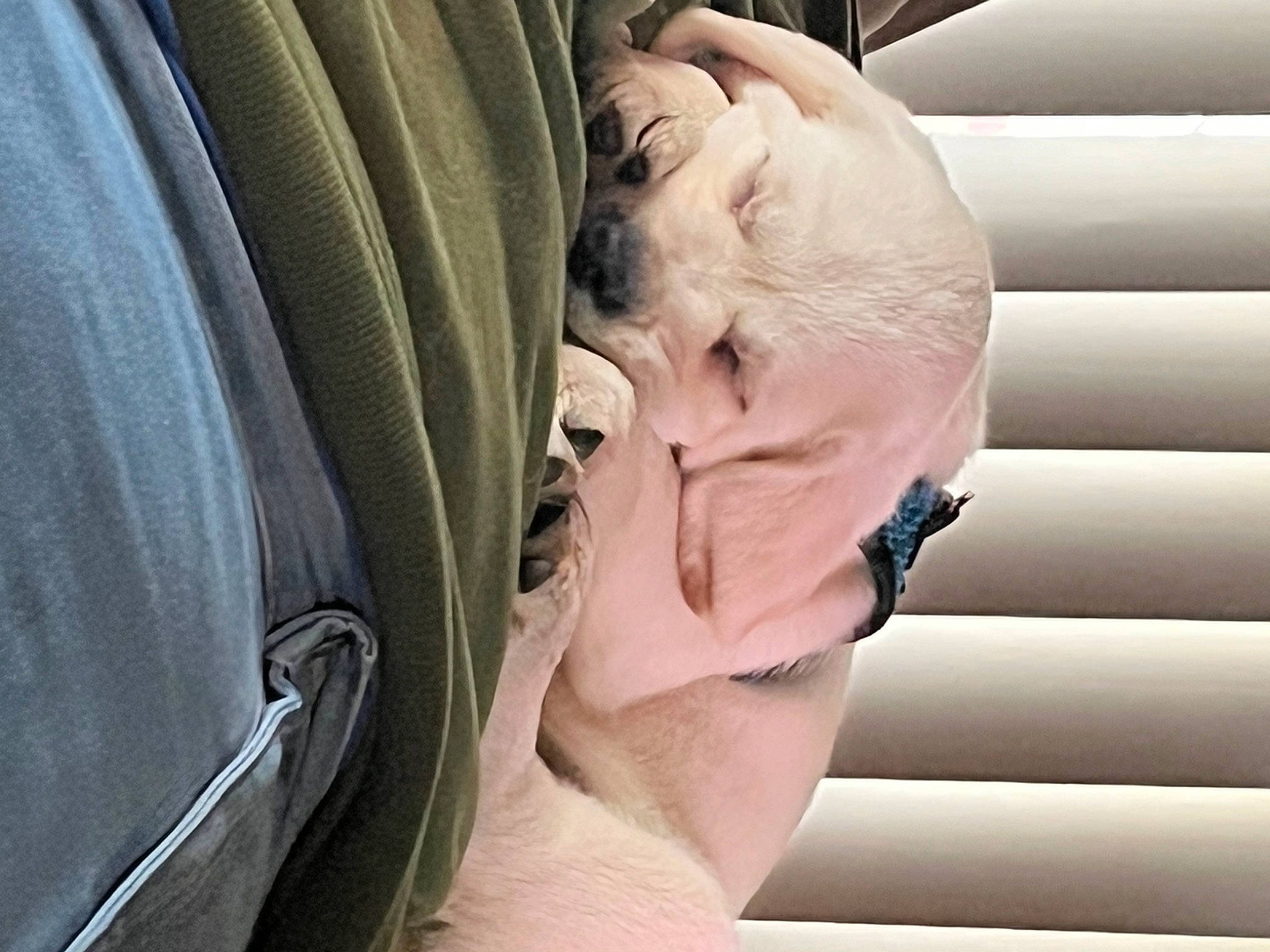 Molly is registered to the contest to win money with this photo: chest, comfort, eyelash, eyewear, flesh, glasses, happy, human_body, human_leg, jaw, nail, neck, personal_protective_equipment, sitting, sunglasses, throat, wrinkle