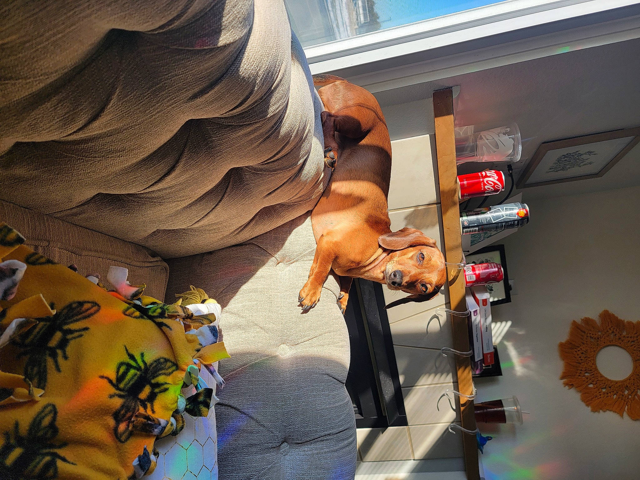 Francesca joined the competition — help win amazing prizes! blue, comfort, elbow, fun, human_leg, room, sitting, sky, visual_arts, wing