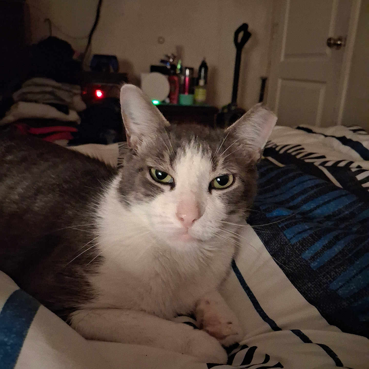 Nina