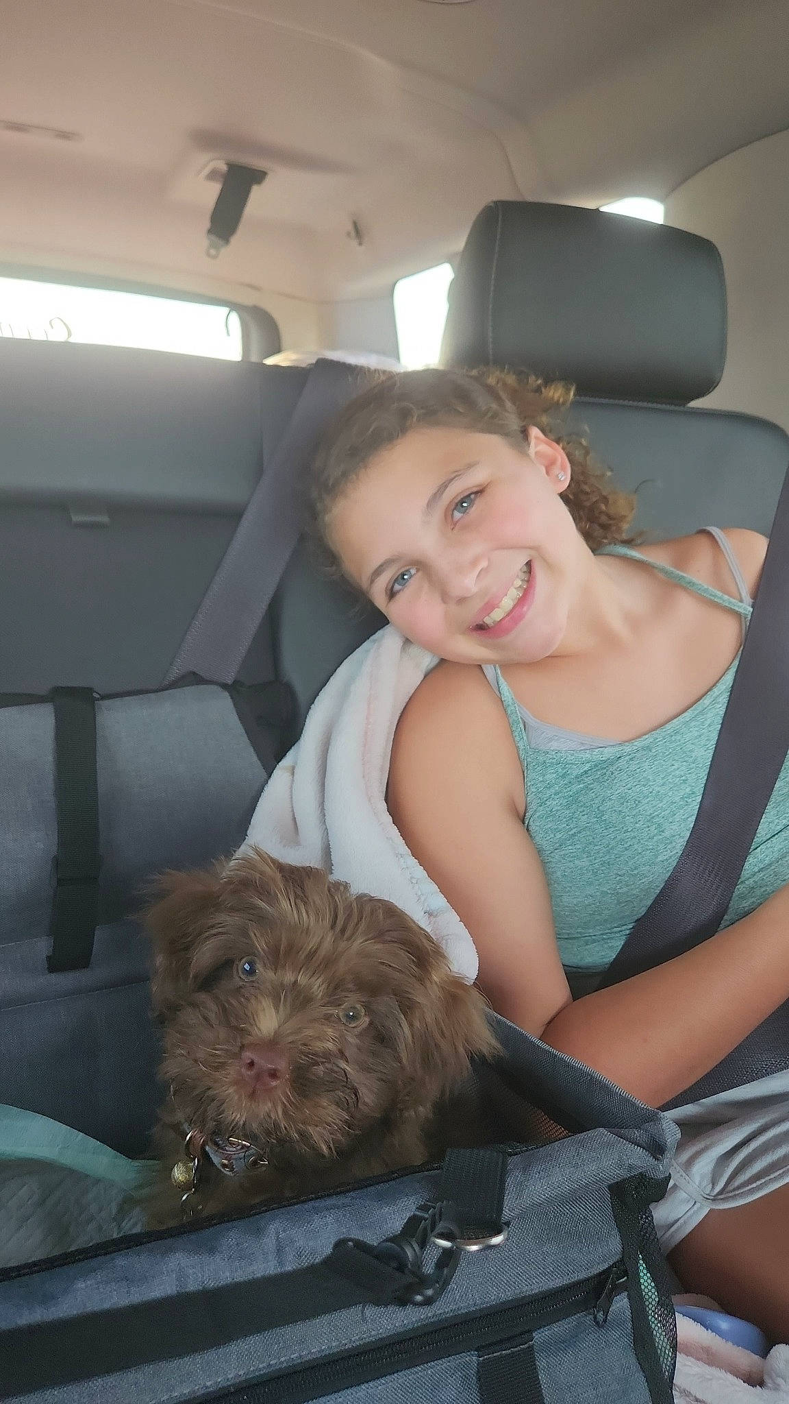 Mackenzie joined the competition — help win amazing prizes! car, car_seat, car_seat_cover, carnivore, comfort, companion_dog, dog, dog_breed, family_car, fawn, fur, happy, head_restraint, joy, lap, person, personal_luxury_car, sitting, skin, smile