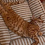 cat, ginger_cat, striped_bed, cushion, pet, feline, sleeping, relaxed, cozy, indoor, fur, tabby, striped, resting, animal, cute, whiskers, paws, tail, comfort