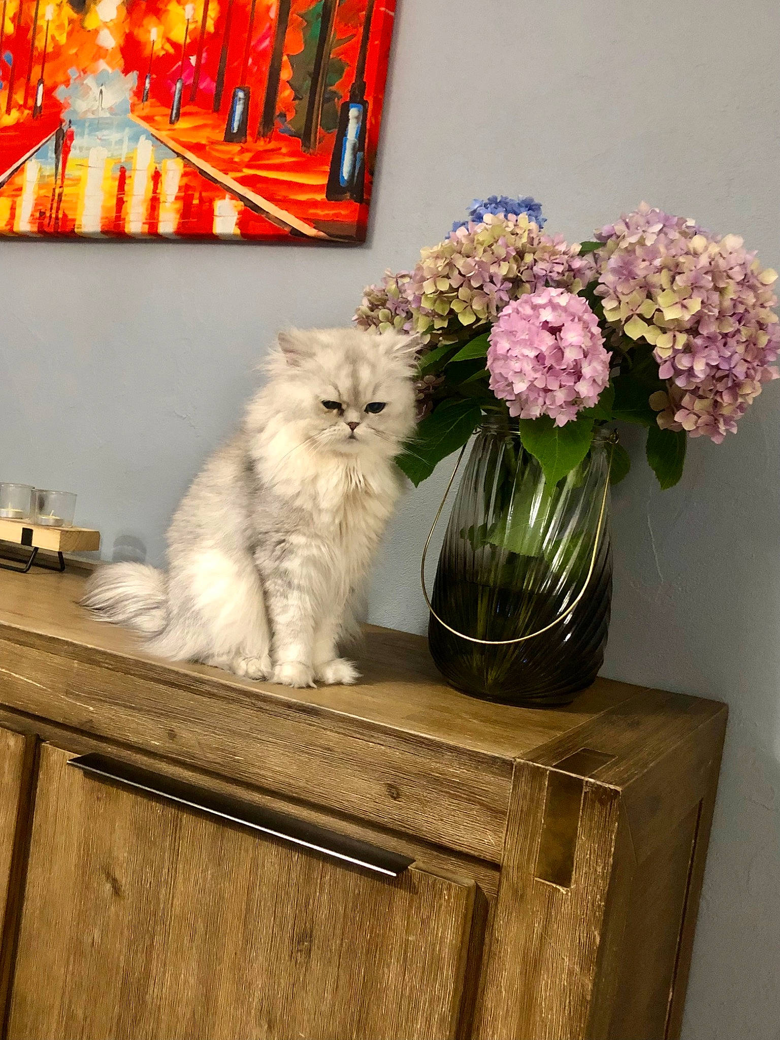 Michel a rejoint le concours — aidez-le/la à gagner de superbes lots ! art, artificial_flower, cabinetry, carnivore, cat, drawer, felidae, flower, flower_arranging, flowerpot, hardwood, herbaceous_plant, petal, picture_frame, plant, small_to_medium_sized_cats, textile, vase, whiskers, wood