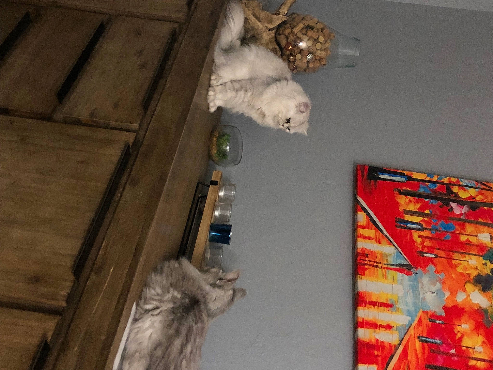 Michel a rejoint le concours — aidez-le/la à gagner de superbes lots ! art, ceiling, collection, event, flooring, fur, hardwood, paint, painting, plank, plywood, room, tail, visual_arts, wood, wood_stain