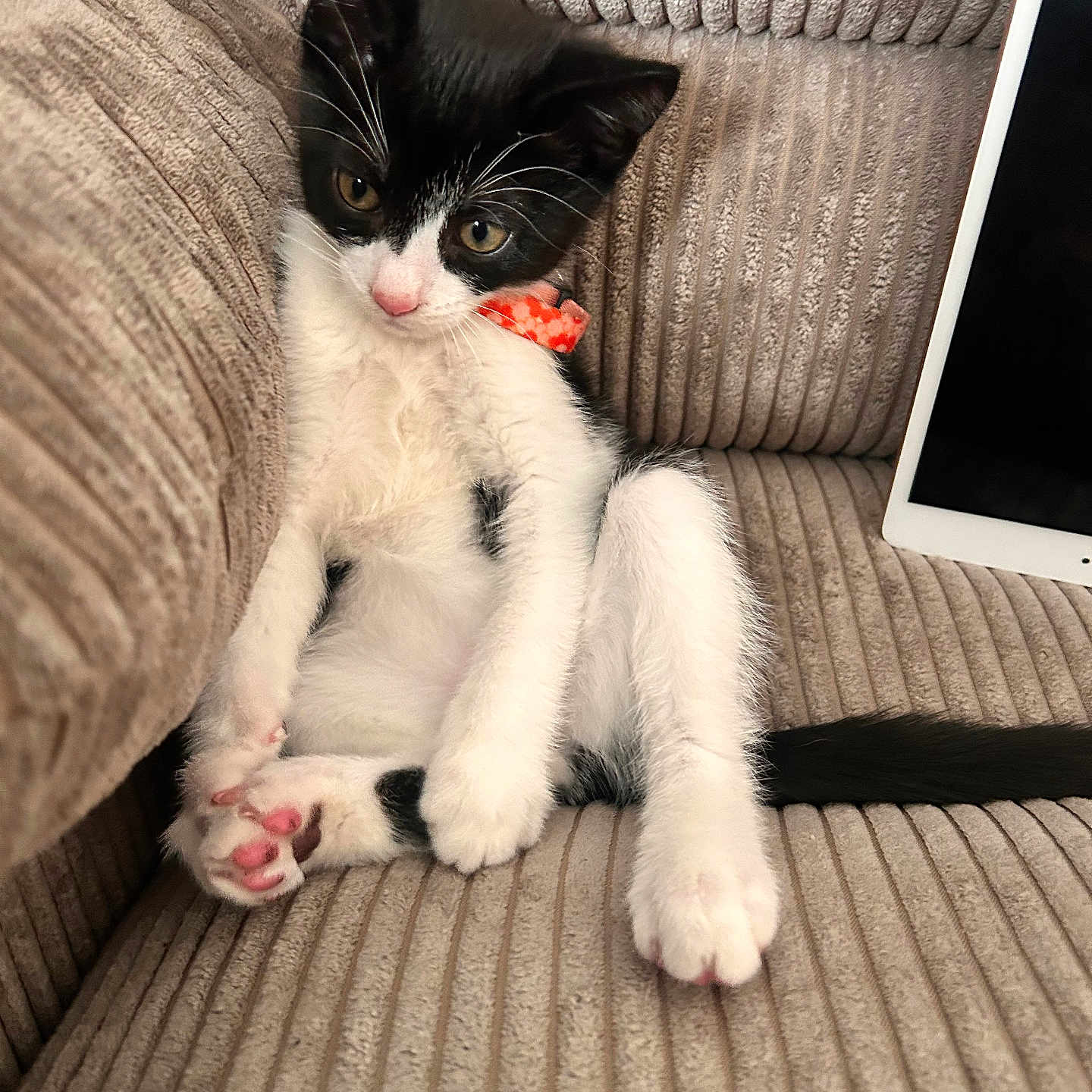 Benito