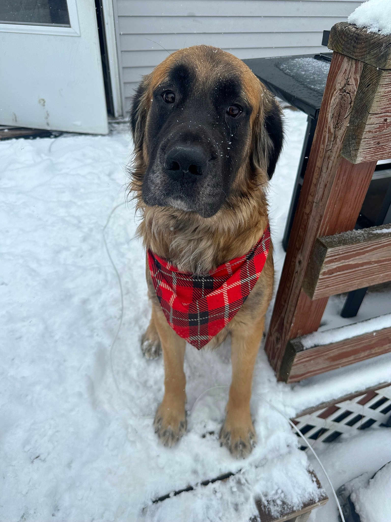 Oakley