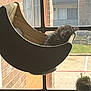 Bee joined the competition — help win amazing prizes! brick_wall, cat, collar, cozy, daylight, furniture, greenery, hammock, home, indoor, kitten, pet, plant, pot, relaxation, resting, sleeping, sunlight, window, wood