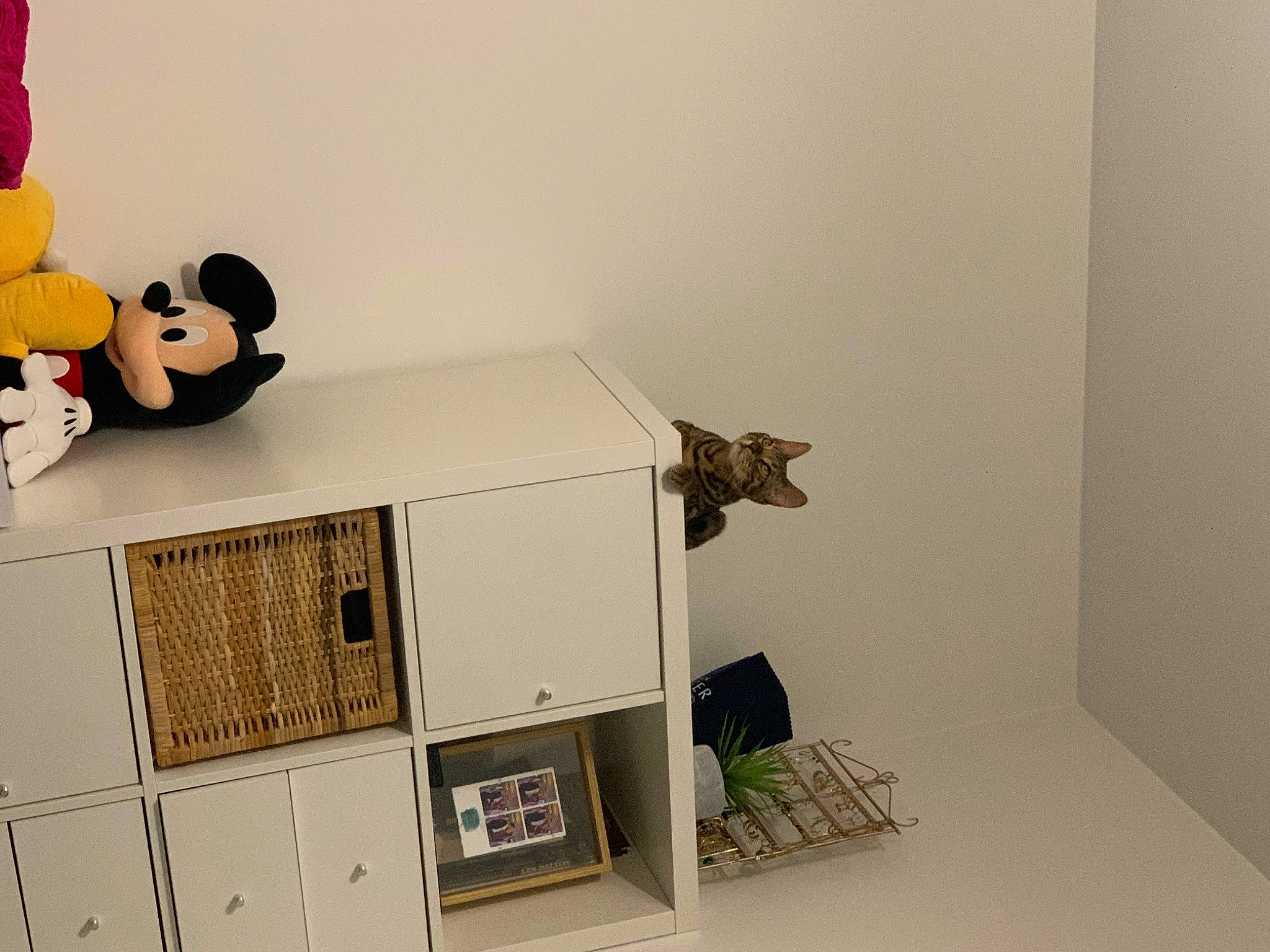 Chiara participe au concours pour gagner de l'argent avec cette photo : animation, art, cardboard, house, machine, room, scale_model, shelving, stuffed_toy, toy, visual_arts, wood