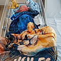 Jules C.