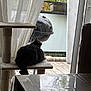 cat, cat_tree, balcony, barbecue_grill, potted_plant, curtain, glass_door, indoor, outdoor, furniture, table, wooden_floor, gray_cat, relaxing, pet, home, daylight, nature, window, quiet