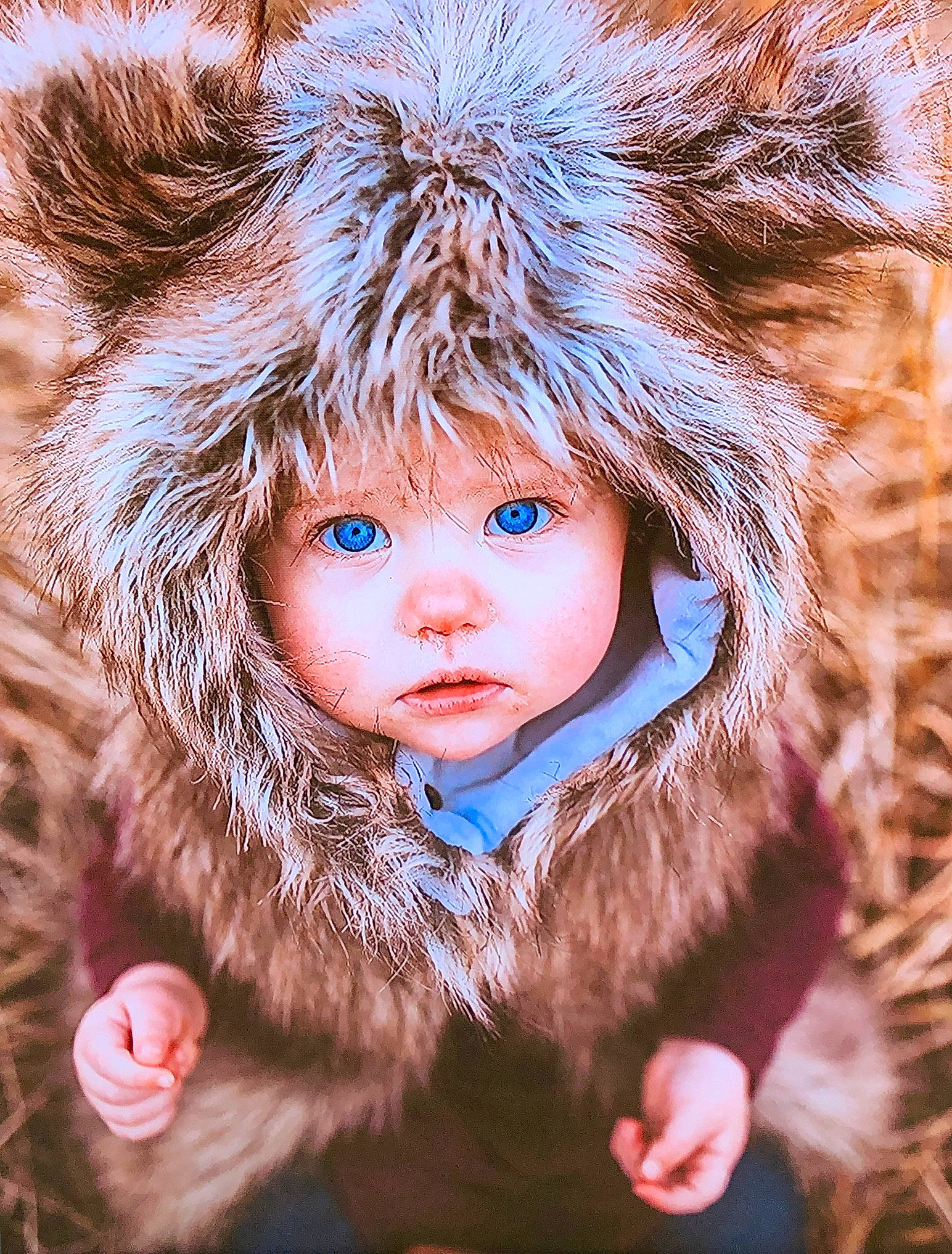 Anna is registered to the contest to win money with this photo: brown_hair, child, child_model, doll, eye, face, fawn, fur, fur_clothing, headgear, headwear, person, photography, portrait_photography, skin, textile, toddler