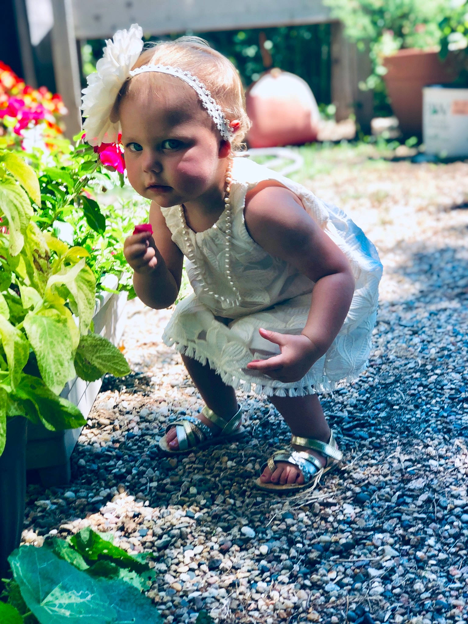 Anna joined the competition — help win amazing prizes! backyard, botany, child, dress, floral_design, flower, fun, garden, gardening, grass, green, leaf, person, photo_shoot, photography, plant, smile, spring, summer, sunlight