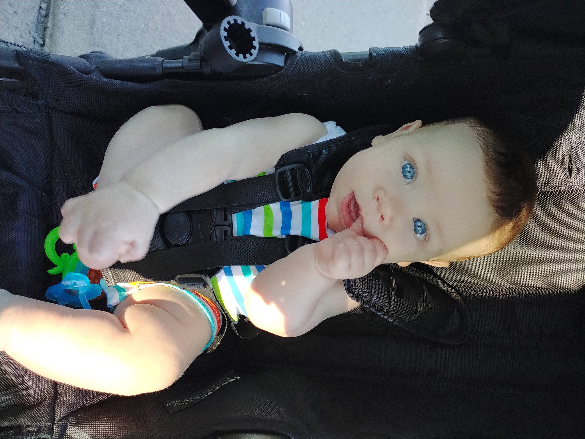 Westin joined the competition — help win amazing prizes! abdomen, auto_part, baby, baby_carriage, baby_products, car_seat, child, cool, fun, human_leg, knee, lap, leg, person, sitting, sock, steering_wheel, thigh, toddler, vehicle_door