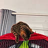 Mimi participe au concours pour gagner de l'argent avec cette photo : cat, bengal_cat, tabby, striped_fur, pet, animal, indoor, crate, carrier, red_blanket, green_toy, curious, climbing, standing, paw, whiskers, window, curtain, home, funny