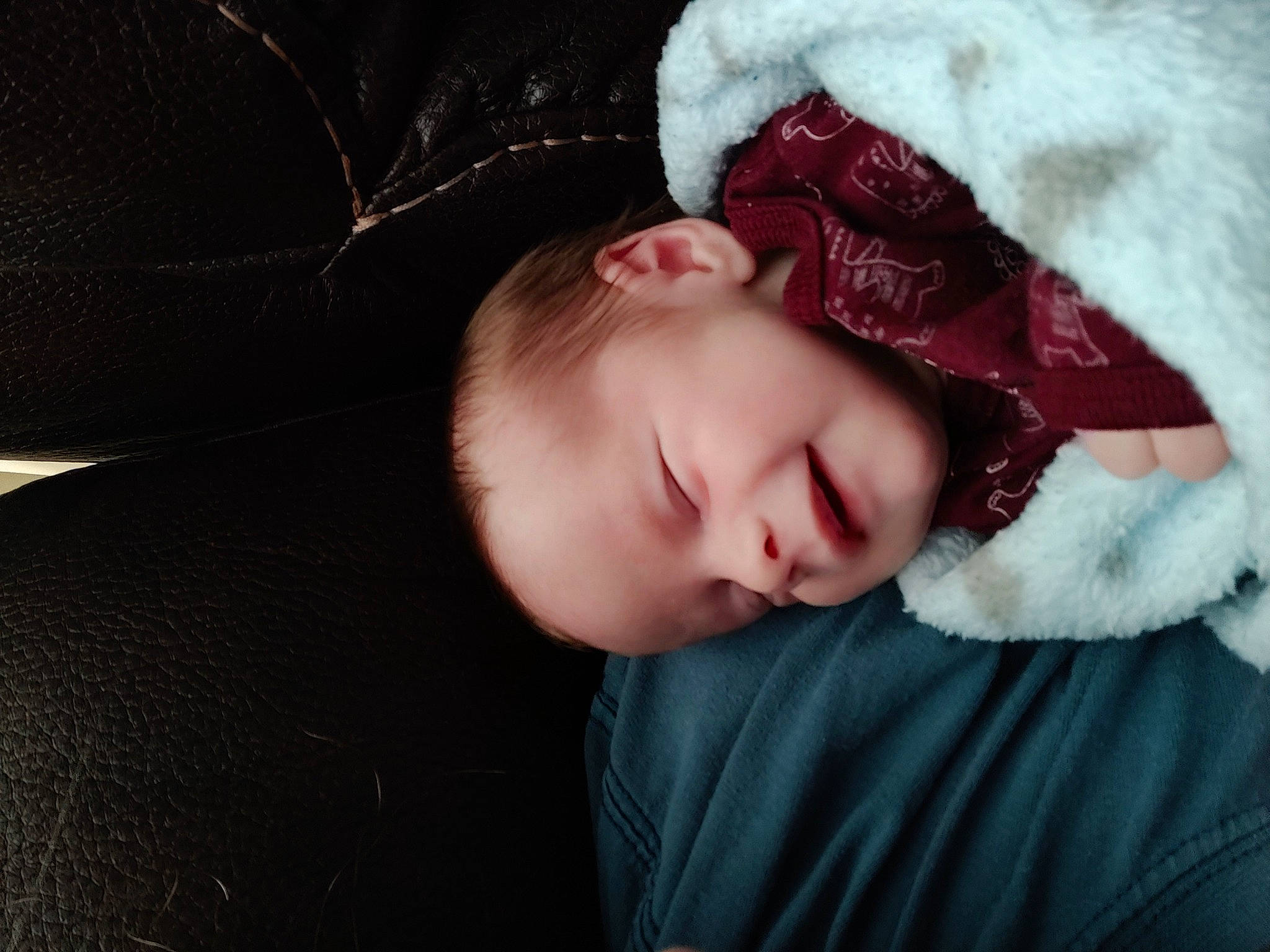 Behr joined the competition — help win amazing prizes! baby, cheek, child, comfort, cool, eye, eyebrow, flash_photography, fur, grass, linens, lip, nose, person, portrait_photography, sitting, sleeve, tints_and_shades, toddler, tree