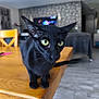 alert, animal, black_cat, blurred_background, cat, close_up, cozy, curious, domestic_cat, ears, floor, furniture, green_eyes, home, indoor, living_room, pet, table, television, wooden_table