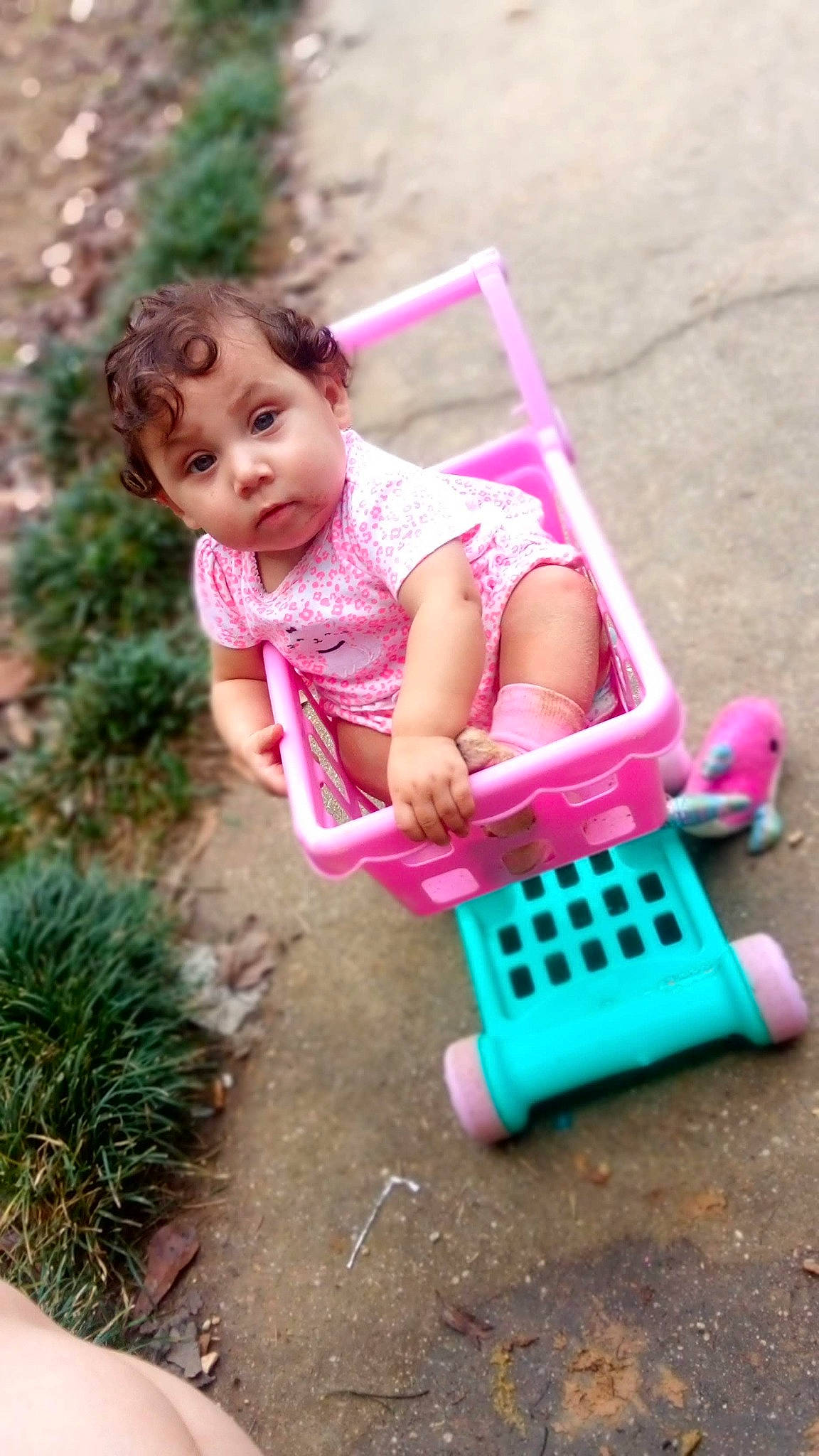 Serenity joined the competition — help win amazing prizes! baby, child, fun, person, pink, play, product, toddler, toy