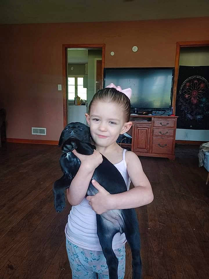 Renesmee is registered to the contest to win money with this photo: ball, chair, event, flash_photography, flooring, fun, happy, hardwood, joy, living_room, person, shoulder, sitting, smile, standing, t_shirt, television, thigh, toddler, trunk