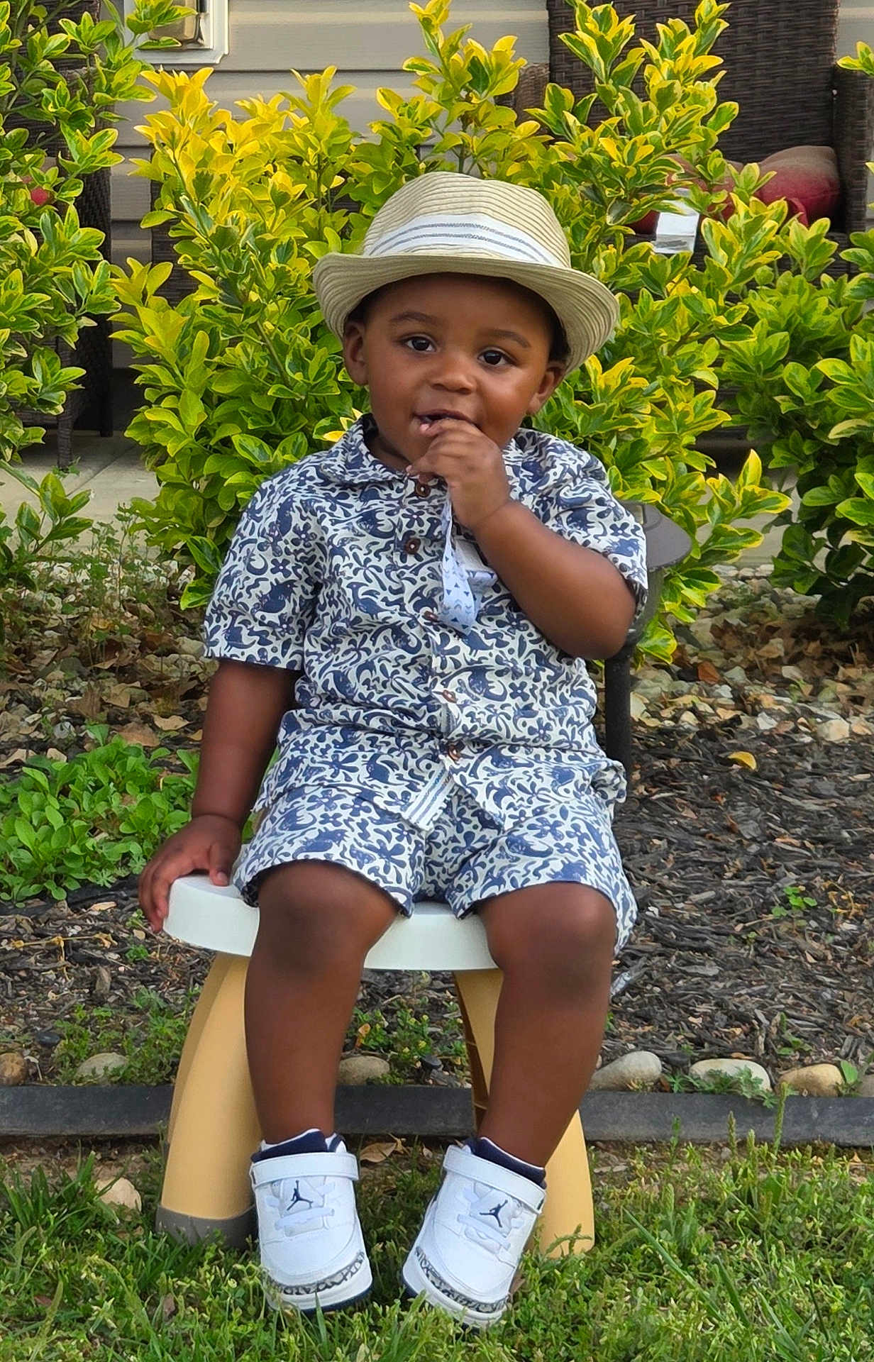 Majeek is registered to the contest to win money with this photo: toddler, child, hat, shorts, shirt, outdoor, garden, greenery, shoes, footwear, curious, sitting, stool, plants, grass, daylight, smiling, casual_wear, cute, portrait