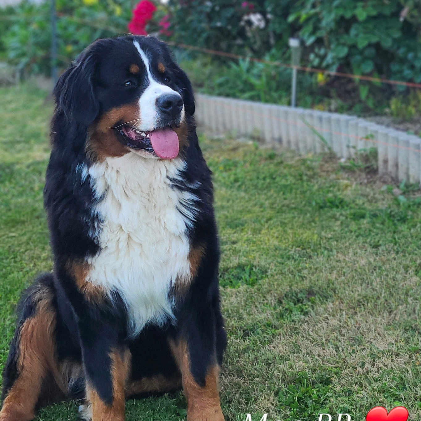 Charly