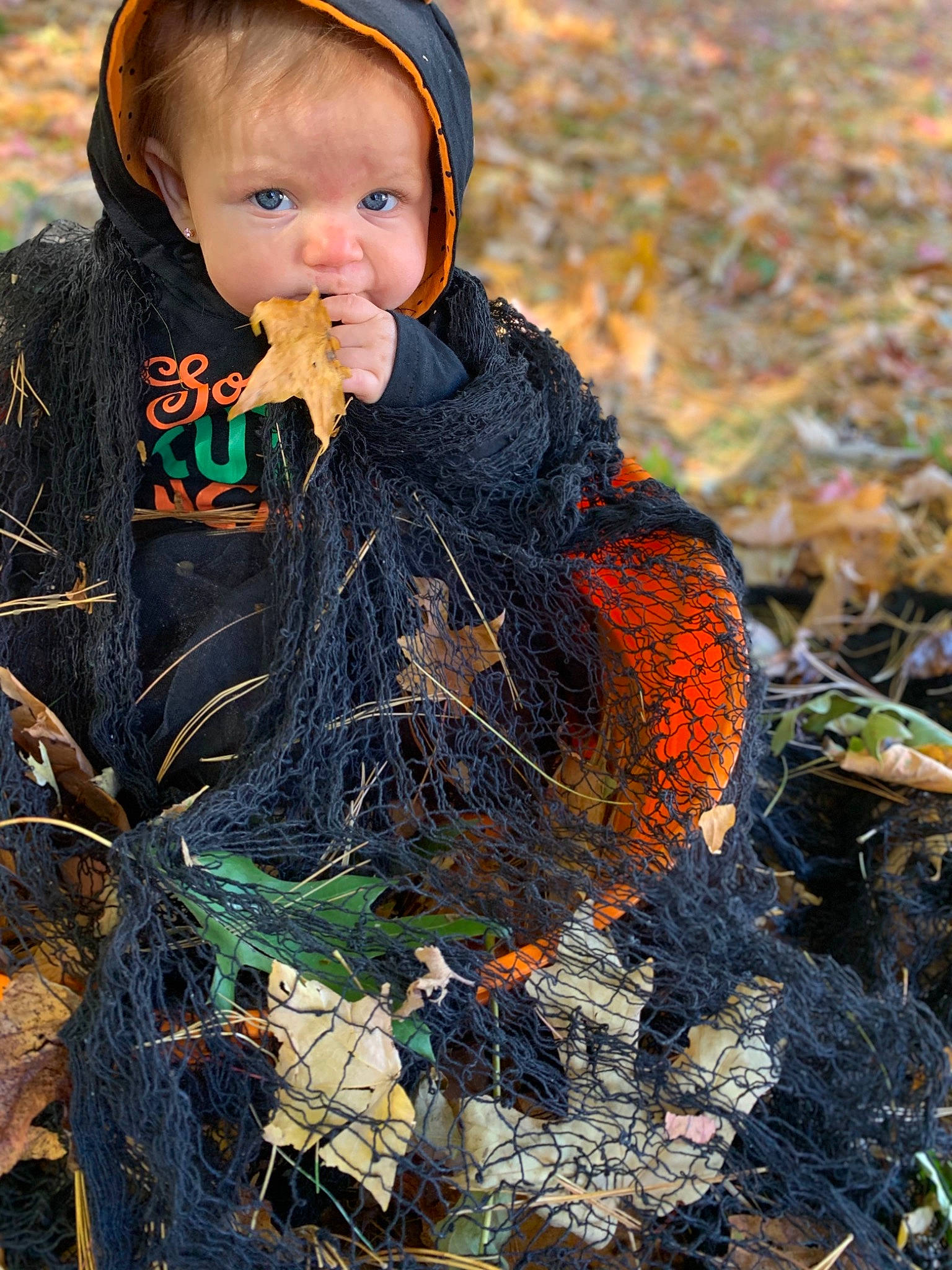 Everleigh Alexa joined the competition — help win amazing prizes! autumn, baby, baby_toddler_clothing, beanie, child, deciduous, grass, happy, hat, leaf, people_in_nature, person, photograph, plant, portrait, portrait_photography, soil, toddler, wood, wool