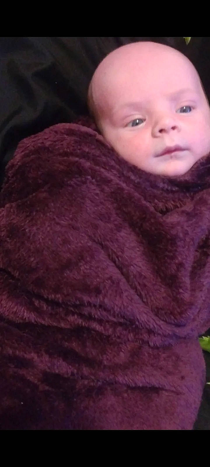 Osiris joined the competition — help win amazing prizes! art, baby, cheek, electric_blue, eye, eyelash, face, forehead, fur, head, iris, knitting, magenta, neck, nose, person, purple, toddler, wool, woolen