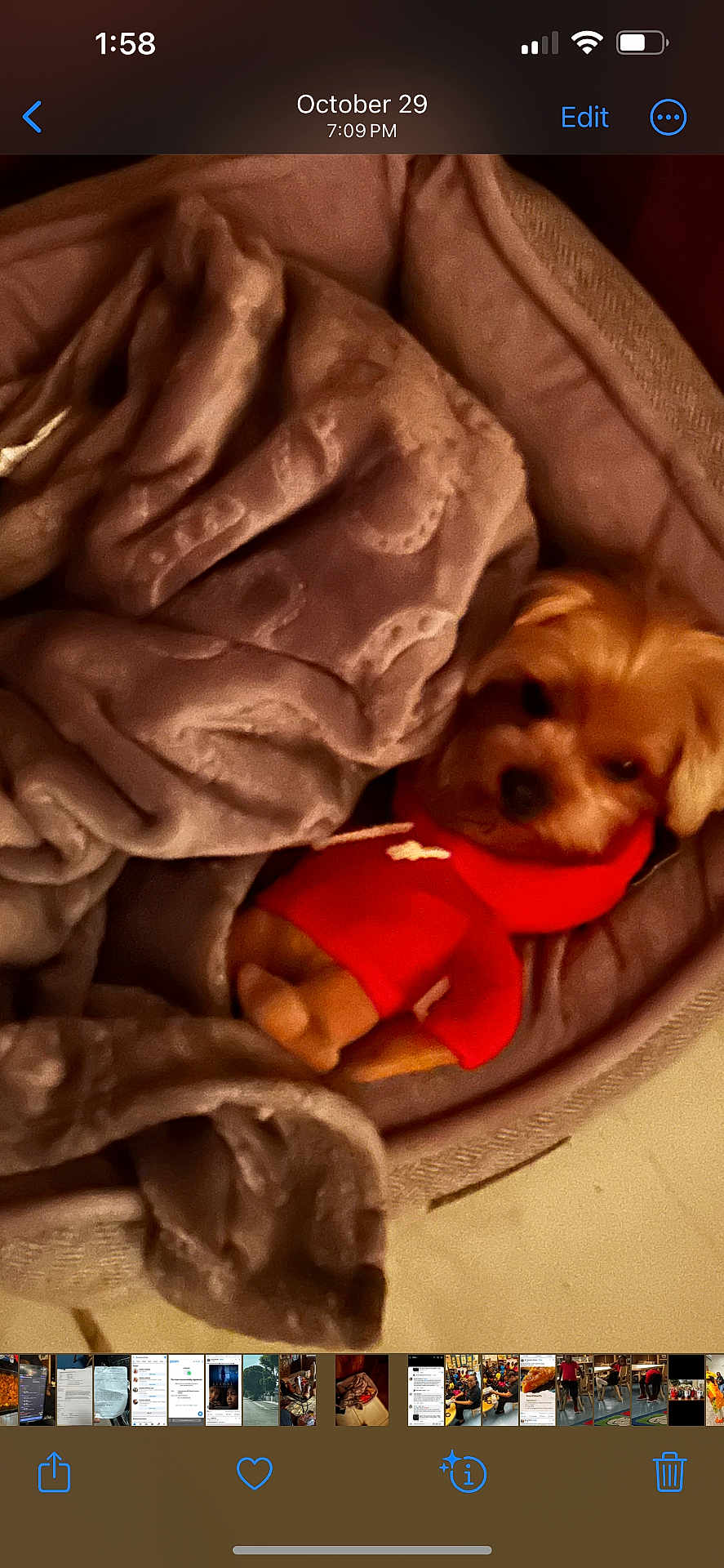 Coco