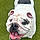 Flossie