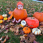 Judah is registered to the contest to win money with this photo: baby, pumpkin, autumn, fall_leaves, grass, orange_hat, outdoor, cute, two_months, seasonal, nature, holiday, harvest, child, infant, green_grass, decoration, leaf_litter, baby_feet, festive