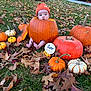 baby, pumpkin, autumn, fall_leaves, grass, orange_hat, outdoor, cute, two_months, seasonal, nature, holiday, harvest, child, infant, green_grass, decoration, leaf_litter, baby_feet, festive