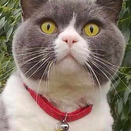 Rio joined the competition — help win amazing prizes!