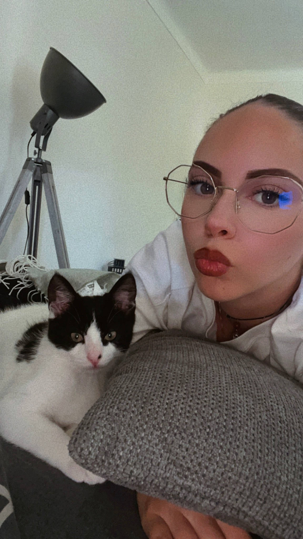 Loky participe au concours pour gagner de l'argent avec cette photo : beauty, carnivore, cat, comfort, eye, eyewear, felidae, glasses, grey, head, lamp, lap, mammal, organ, small_to_medium_sized_cats, tail, vertebrate, vision_care, whiskers, white