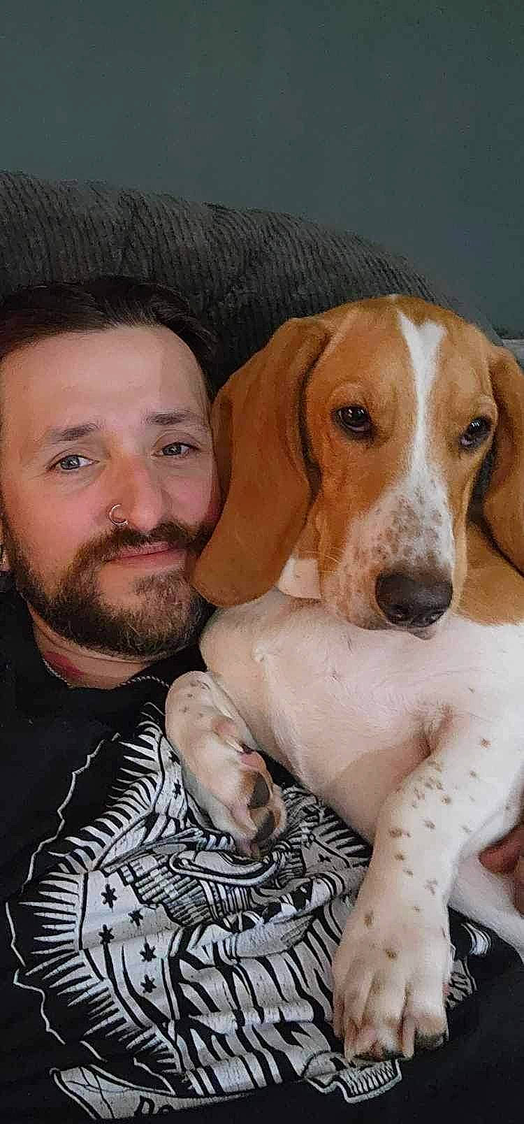 Dolly joined the competition — help win amazing prizes! beard, canidae, carnivore, comfort, companion_dog, dog, dog_breed, fawn, fur, hat, hound, hunting_dog, moustache, scent_hound, selfie, smile, snout, sporting_group, whiskers, working_animal
