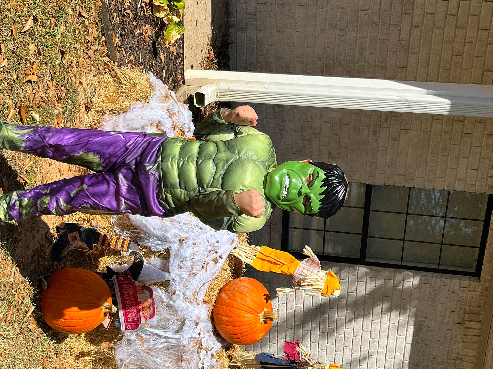 Malaki is registered to the contest to win money with this photo: _and_melon_family, _gourd, agriculture, calabaza, cucumber, cucurbita, fruit, fun, gourd, grass, local_food, natural_foods, people_in_nature, person, plant, produce, pumpkin, soil, squash, still_life_photography