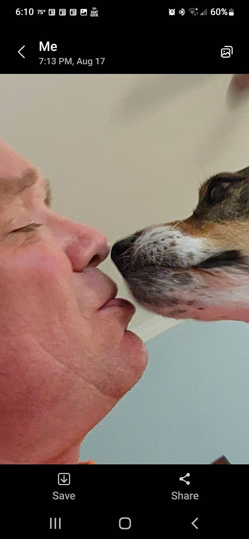 Day-z is registered to the contest to win money with this photo: canidae, carnivore, collar, companion_dog, dog, dog_breed, fawn, foot, fur, gesture, happy, nail, nose, sky, sporting_group, thumb, whiskers, working_animal, wrinkle, wrist