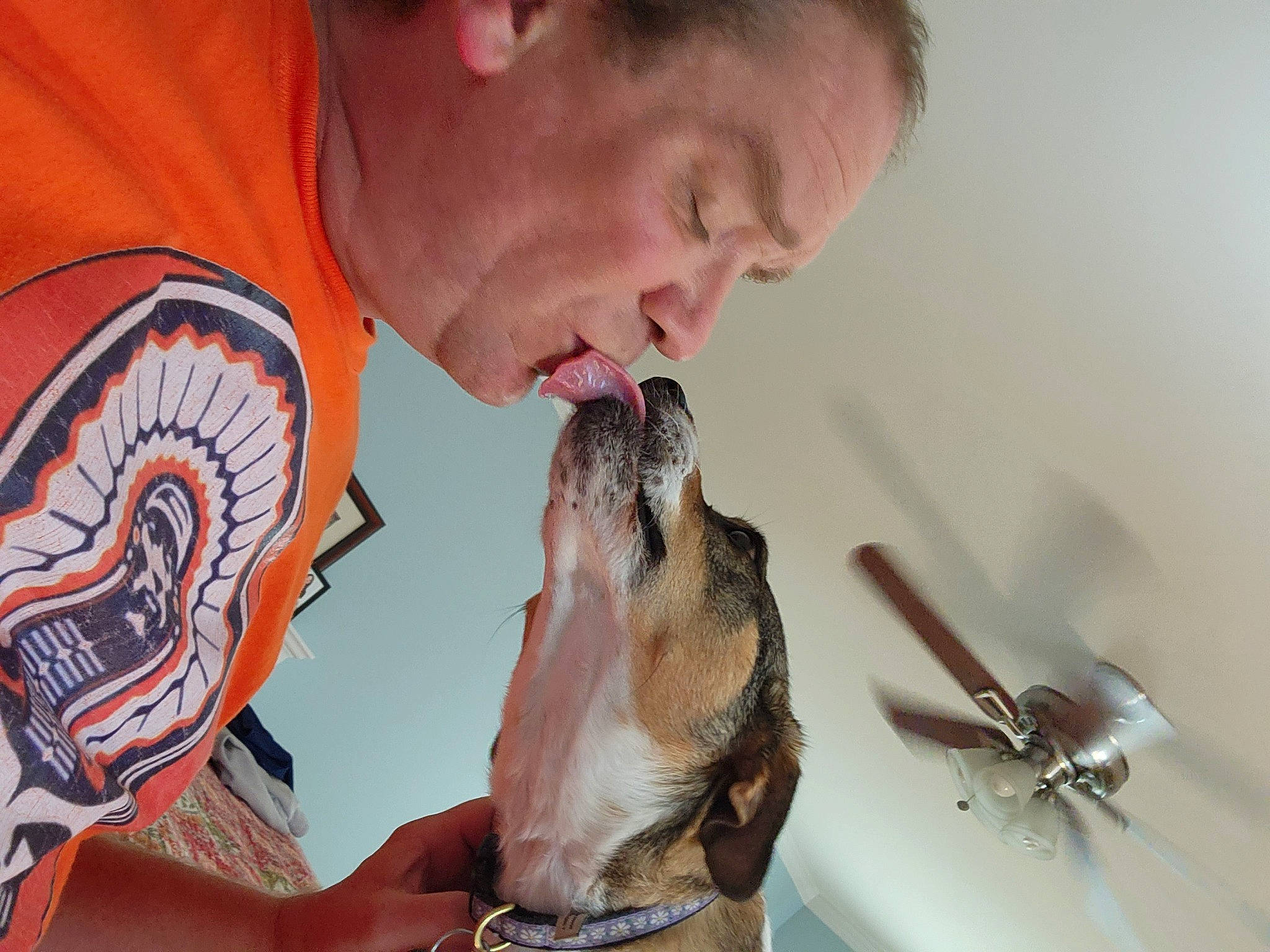 Daisy is registered to the contest to win money with this photo: audio_equipment, beard, carnivore, companion_dog, dog, dog_breed, ear, eyelash, eyewear, facial_hair, fun, fur, gesture, jaw, moustache, mouth, neck, skin, tattoo, throat